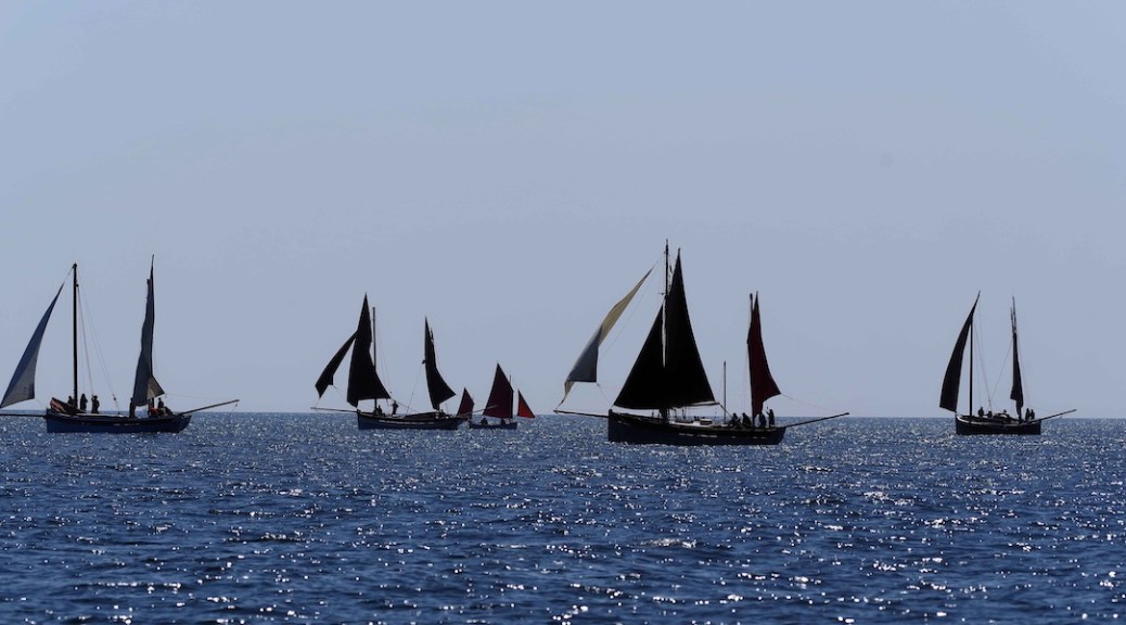 Looe Lugger Regatta 2023.