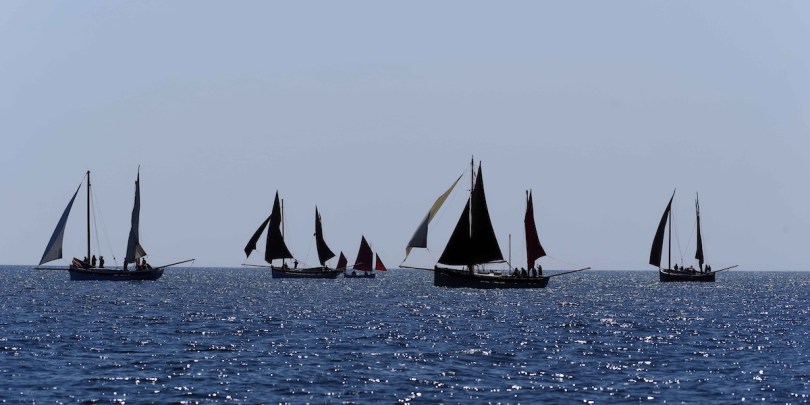 Looe Lugger Regatta 2023.